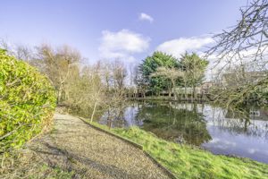 Photo 37- click for photo gallery